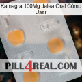 Kamagra 100Mg Jalea Oral Cómo Usar 24